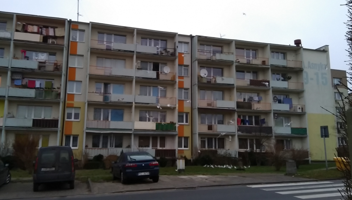 Sąsiad sąsiadowi gołębiem