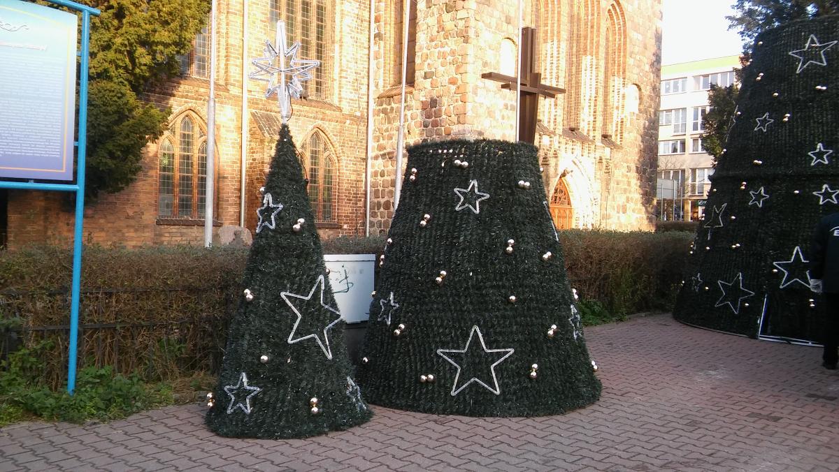 Na nabrzeżu spotkamy renifera