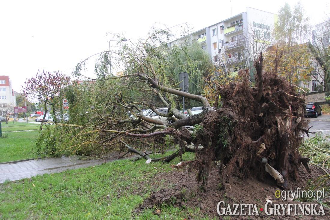 Gryfino poległo w starciu z wichurą [GALERIA]
