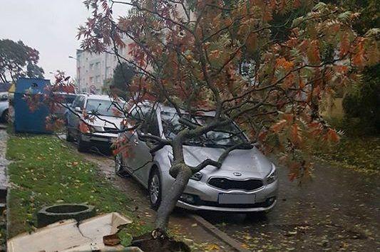 Opłakane skutki huraganu Ksawery. Służby pracowały w pocie czoła [GALERIA]