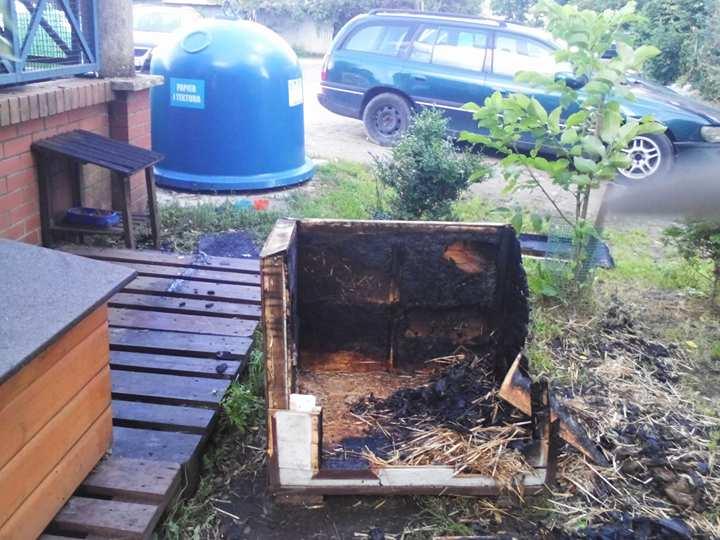 Kto spalił budkę dla kotów!?