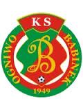 Ogniwo Babinek będzie grać tymi, którzy zrobili awans