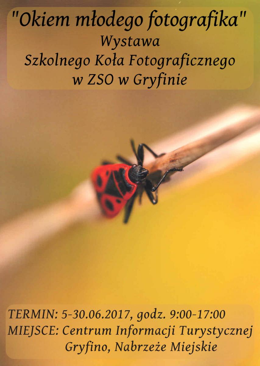 Okiem młodych fotografów