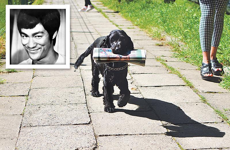 Bruce Lee w Gryfinie!