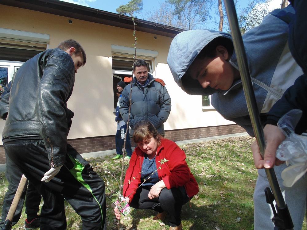 Z okazji Dnia Ziemi posadzili drzewa [GALERIA]