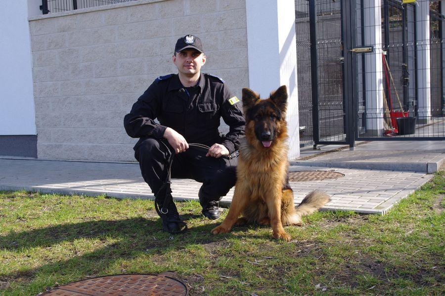 Nowy „funkcjonariusz” w gryfińskiej komendzie