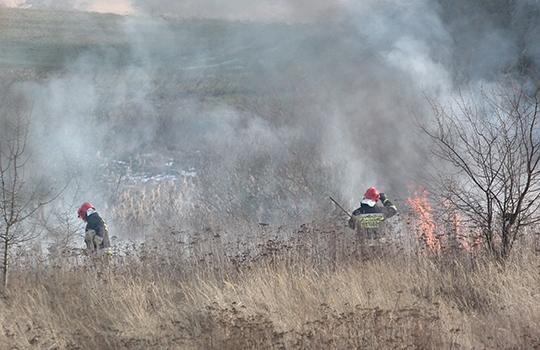 Płonie trawa za Jana Pawła II [foto]