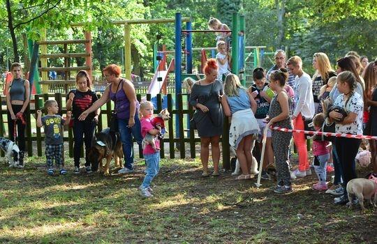 Pieski piknik w gryfińskim parku