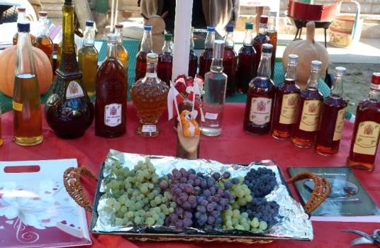 Mini winobranie w Gryfinie