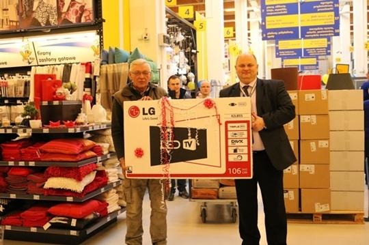 Mrówka świętowała pierwsze urodziny