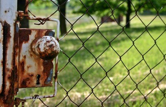 Mają skradzione rzeczy działkowiczów
