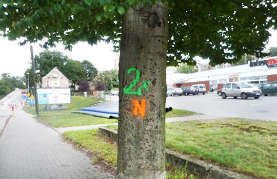 Postęp kontra natura