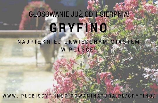 Zagłosuj na kwiaty Gryfina!