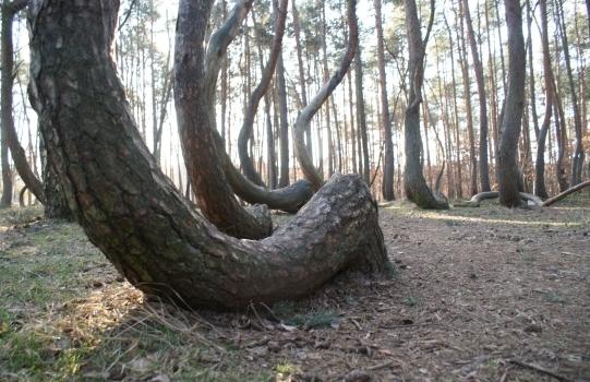 Bez parkingu i oznaczeń