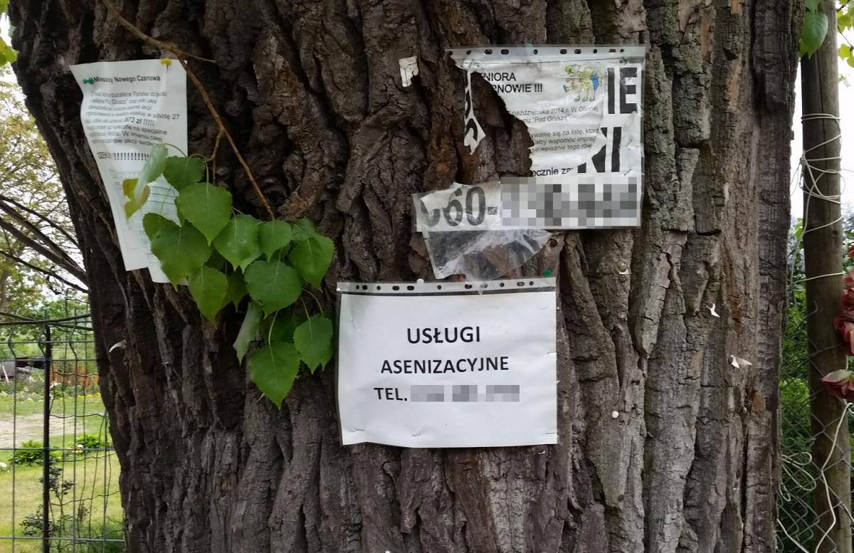 Reklamowe drzewa w Nowym Czarnowie
