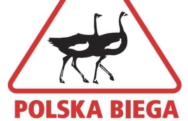 Polska Biega 2016. Gryfino również