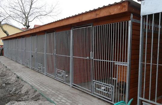 Wegetują w lepszych warunkach