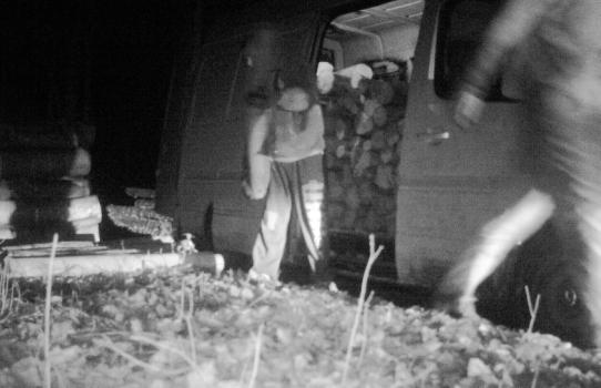 Leśnicy i technologia. Wpadają złodzieje drewna
