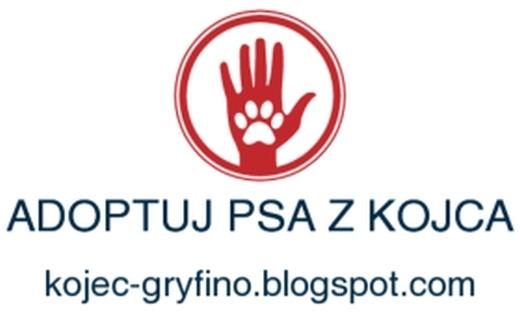 Dzień otwarty w Gryfińskim Kojcu
