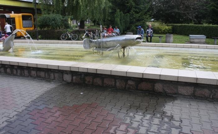 Rybka z dużym rozrzutem