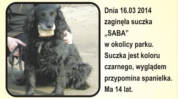 Trwają poszukiwania Saby. Aktualizacja