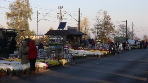 Pomorska zamknięta i pełna kwiatów