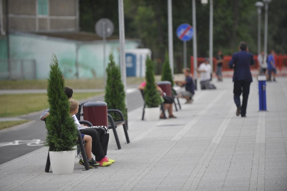 Gdzie są drzewka?