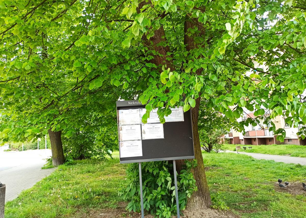 Zmarło m.in. dwoje 90-latków