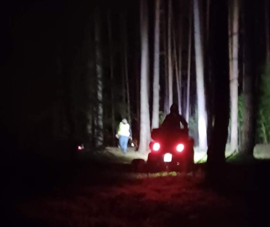 Znaleźli zwłoki w lesie