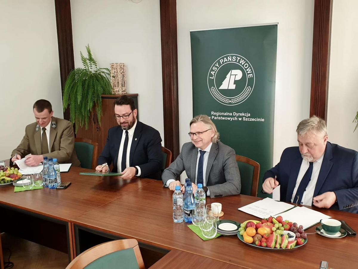 Lasy Państwowe obiecały Widuchowej drogę [GALERIA]