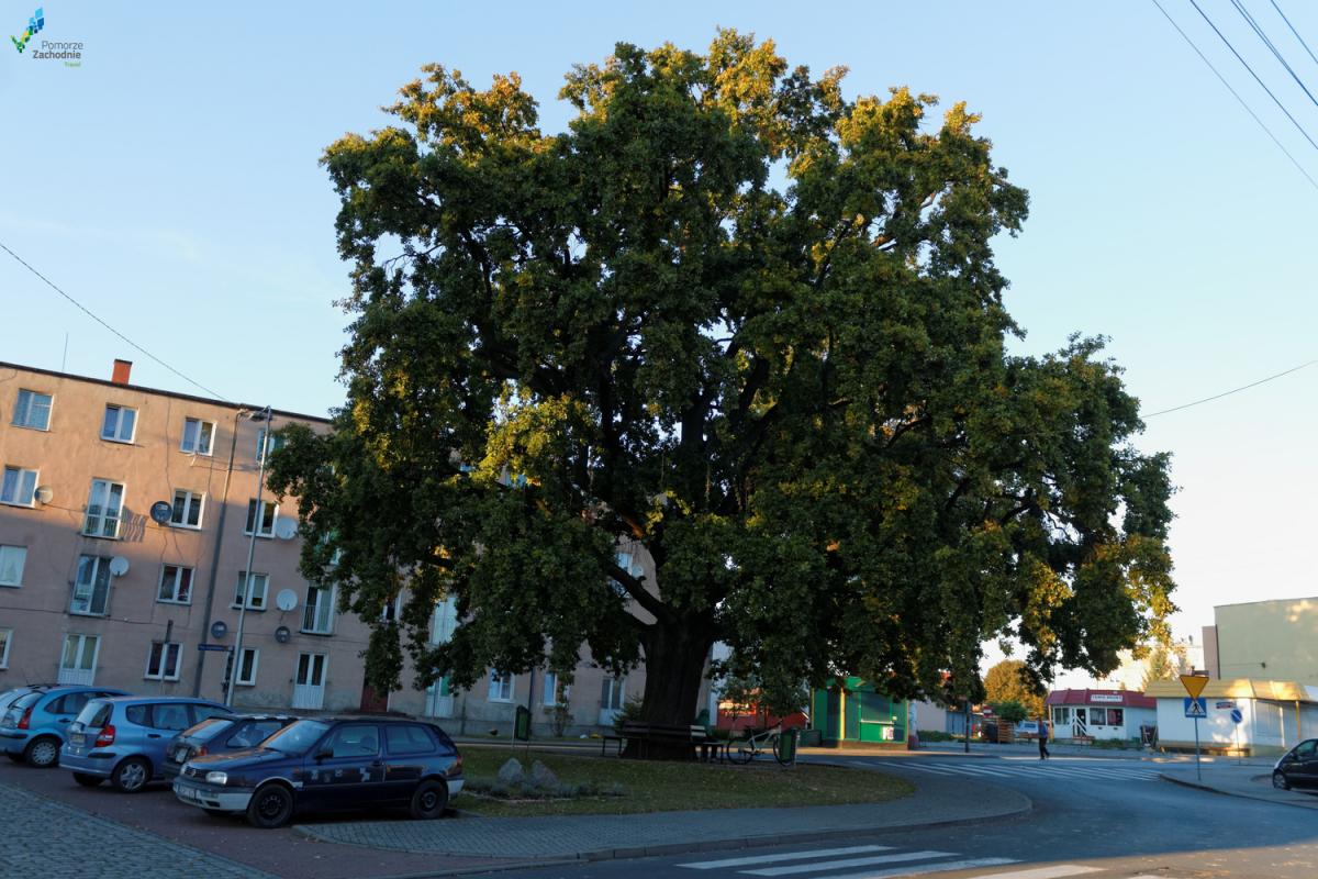 Gdy zatrzymali go w Baniach miał... 3,3 promila