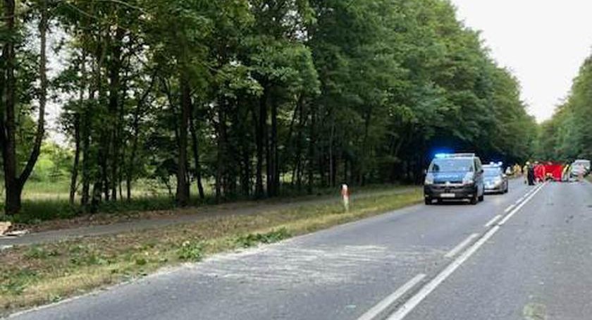 Kolejny wypadek. Nie żyje motocyklista, na którego spadło drzewo