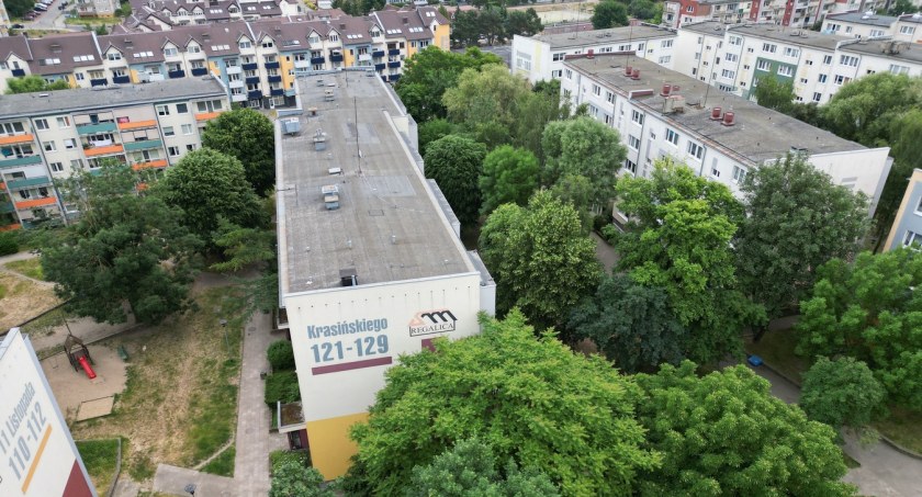 Nie wycinają aż tylu drzew, za to robią wielką przebudowę