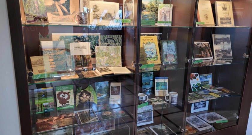 Biblioteka Publiczna zaprasza na wystawę „Buchheide znaczy Puszcza Bukowa”. 