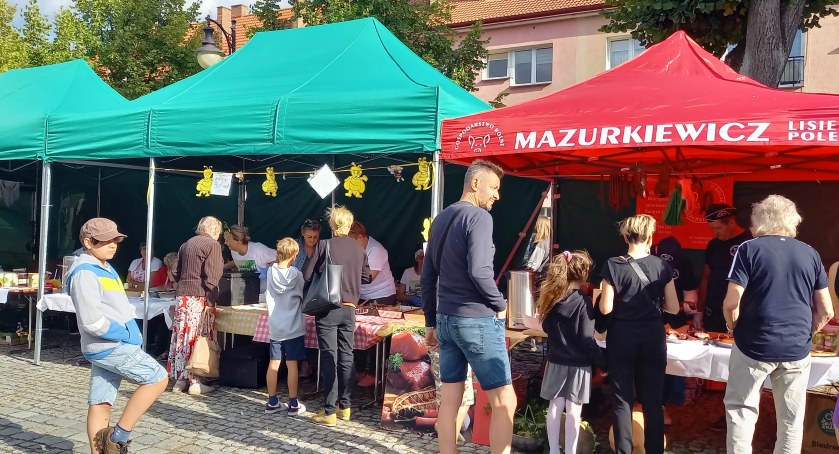 Zapraszają wystawców na Festiwal miodów i ekologicznej żywności