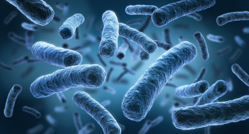 Gmina Gryfino przekazuje informację dotyczącą zapobiegania zakażeniom bakteriami z rodzaju Legionella. 