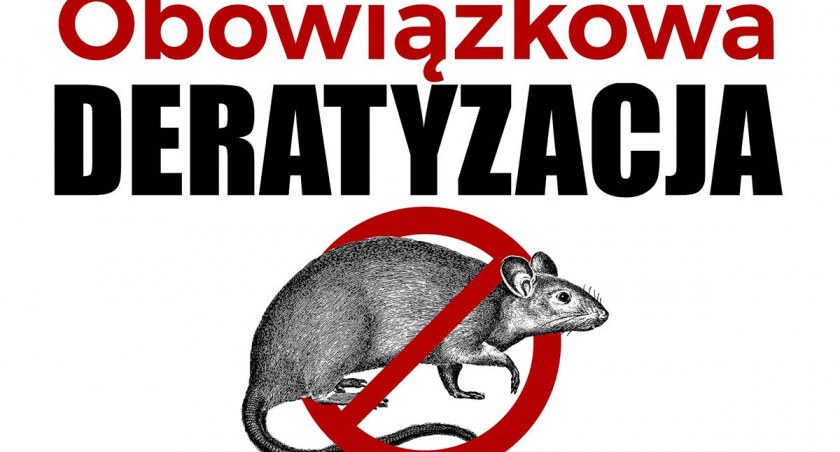 Mieszkańcy muszą wykonać deratyzację. Na własny koszt