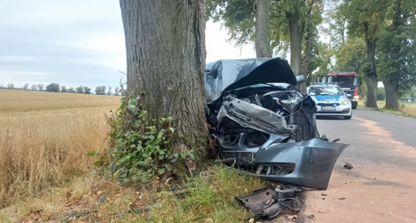 Wjechał w przydrożne drzewo. Podróżował sam