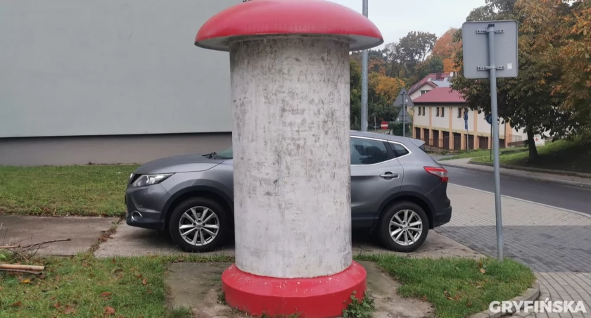 Grzybki puste. Nie musimy już patrzeć na polityków