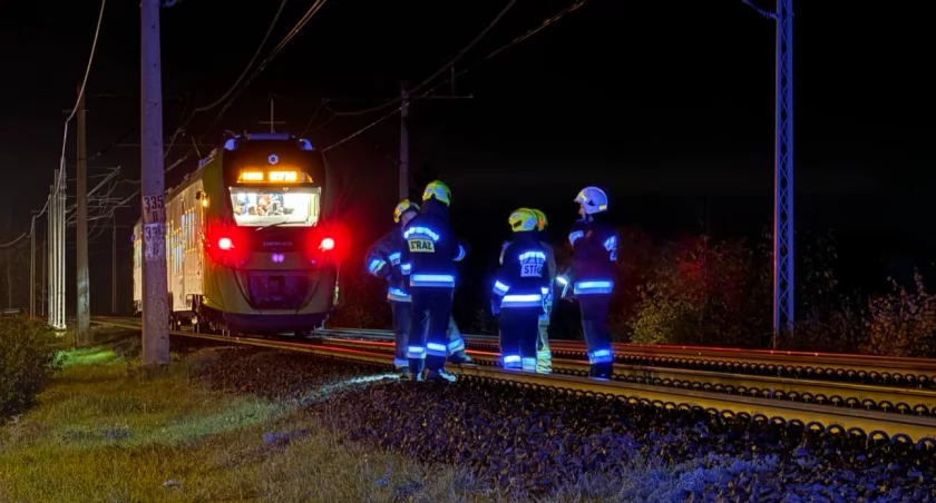 Pociąg śmiertelnie potrącił człowieka. Służby ustalają tożsamość ofiary