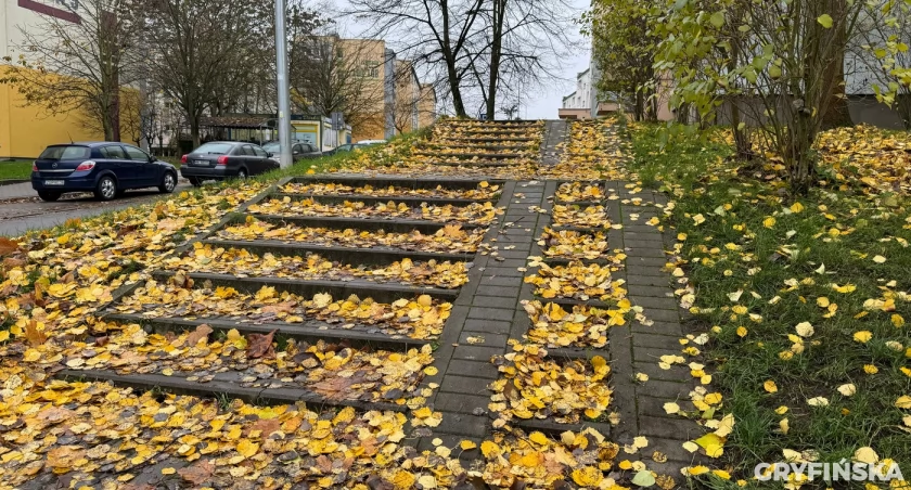 Czytelniczka: Niebezpieczne liście