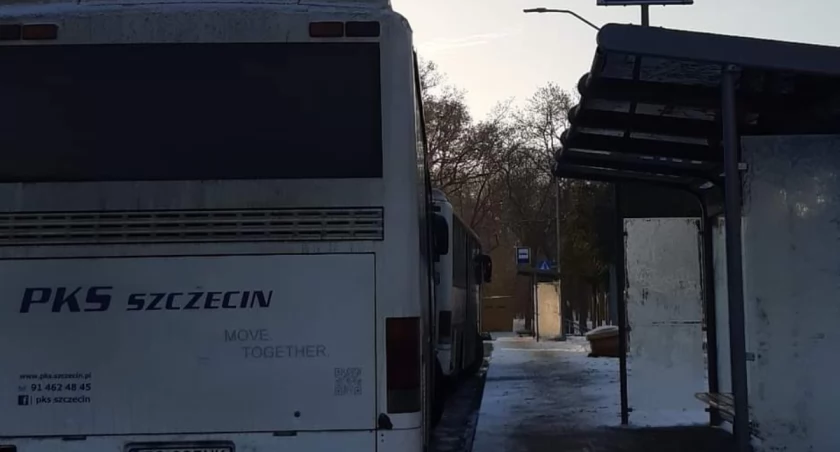 Powołane do życia zostaną trzy nowe linie autobusowe. Wszystkie międzygminne