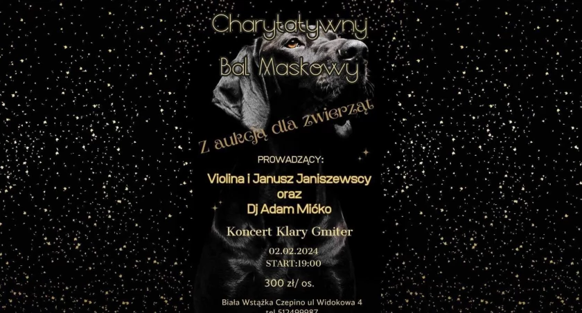 Zapraszają na Charytatywny Bal Maskowy z licytacją dla zwierząt