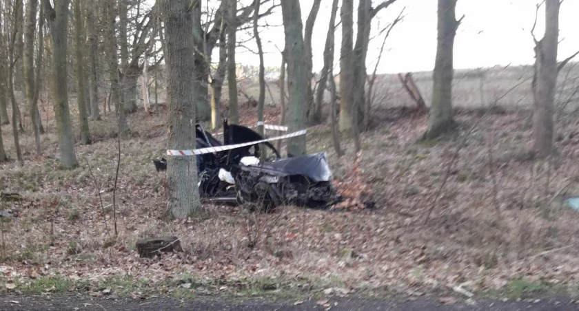 Wjechała w drzewo. 22-latka trafiła do szpitala