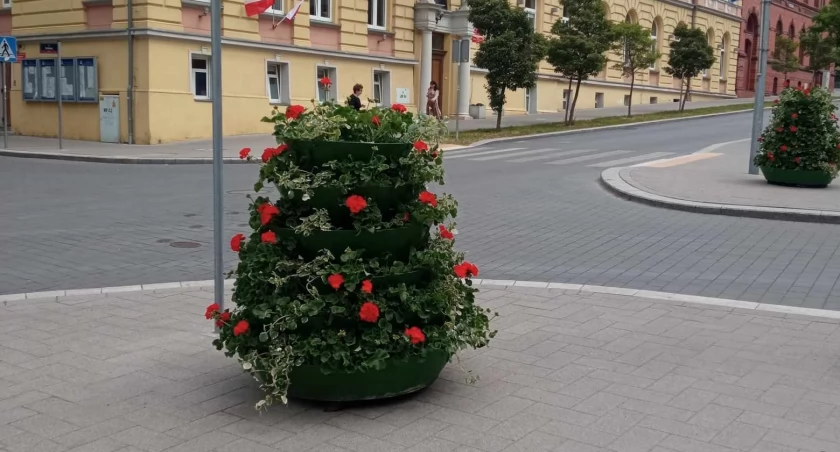 PUK posadził. Zrobiło się kolorowo