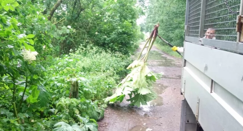 PUK wycina i ostrzega
