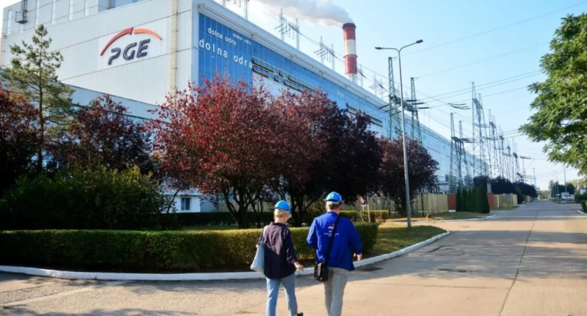 Kwapisz dyrektorem Elektrowni Dolna Odra?