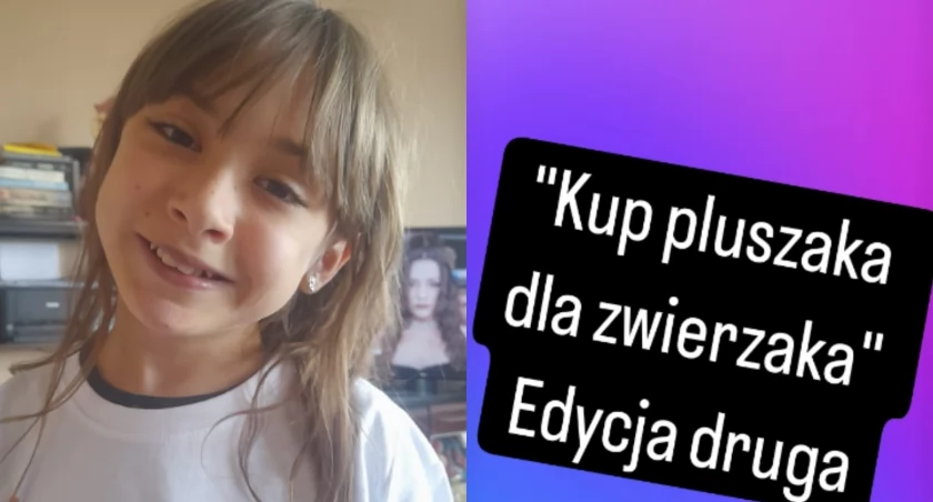 Kup pluszaka dla zwierzaka. Charytatywna akcja gryfinianki [GALERIA]