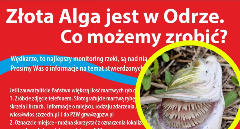 Grupa inicjatywna apeluje do wędkarzy