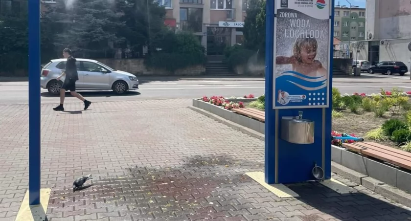 Uwaga na upały! Można skorzystać z kurtyn wodnych!